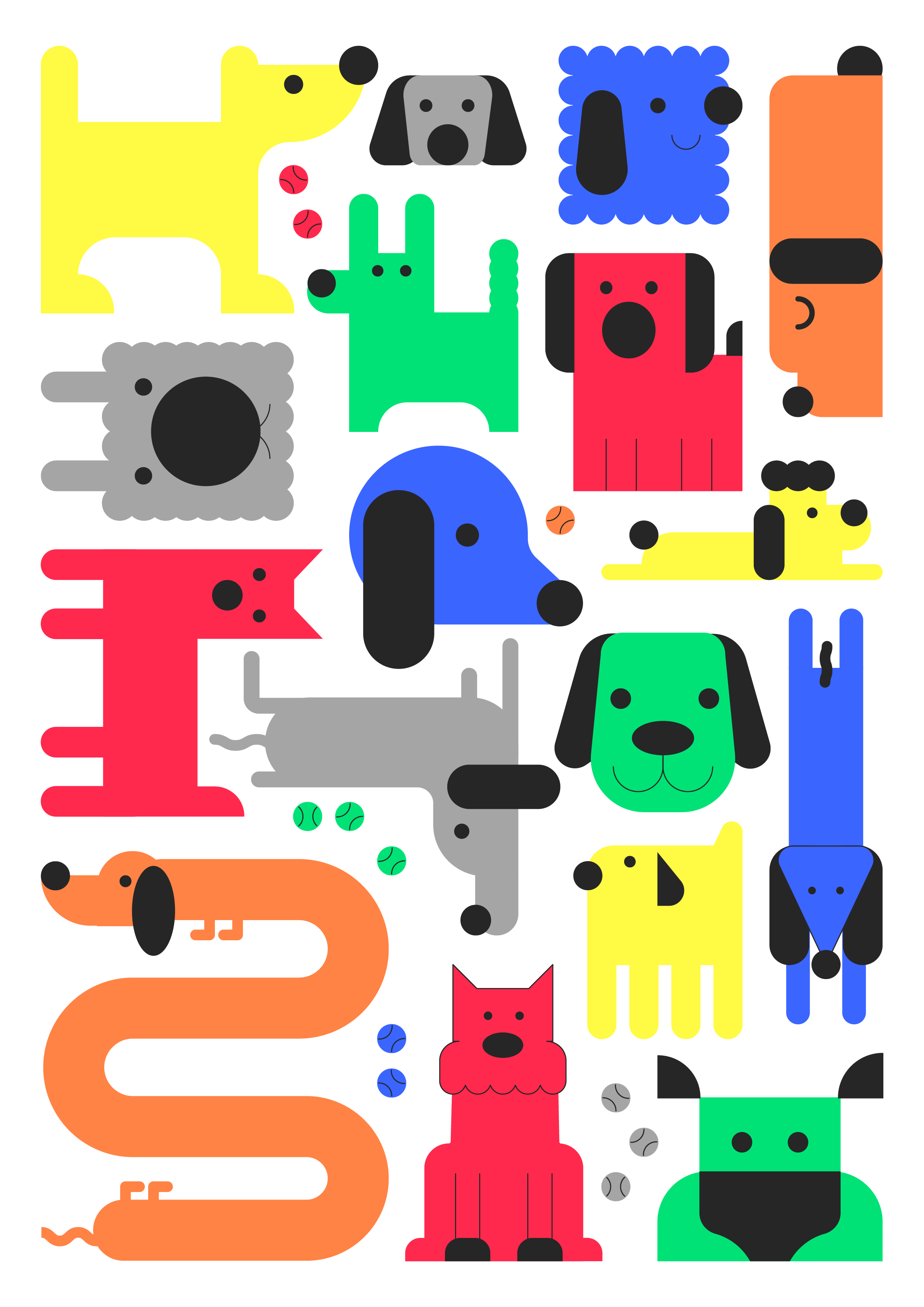 Print Dogs Rafita Studio